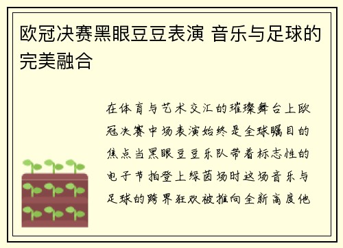 欧冠决赛黑眼豆豆表演 音乐与足球的完美融合
